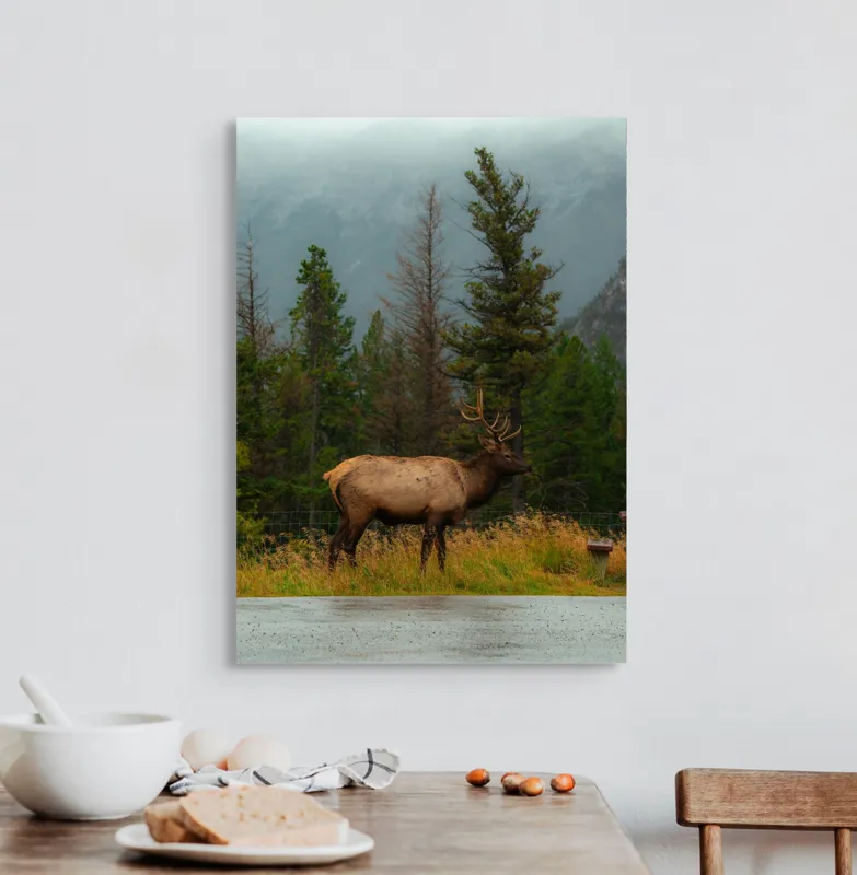 Tablou Canvas, "Cerbul solitar în ploaia de toamnă", Munte, Cerb, Copaci, Iarbă, Ceață, Natură, Serenitate, Pădure, Peisaj, Plimbare, 50 x 70 cm – poza 3