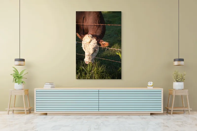 Tablou Canvas, "Vaca pășunând lângă gardul de sârmă", Iarbă, Apus, Vacă, Gard, Sârmă, Verde, Blând, Natural, Teren, Pășune., 100 x 150 cm – poza 4