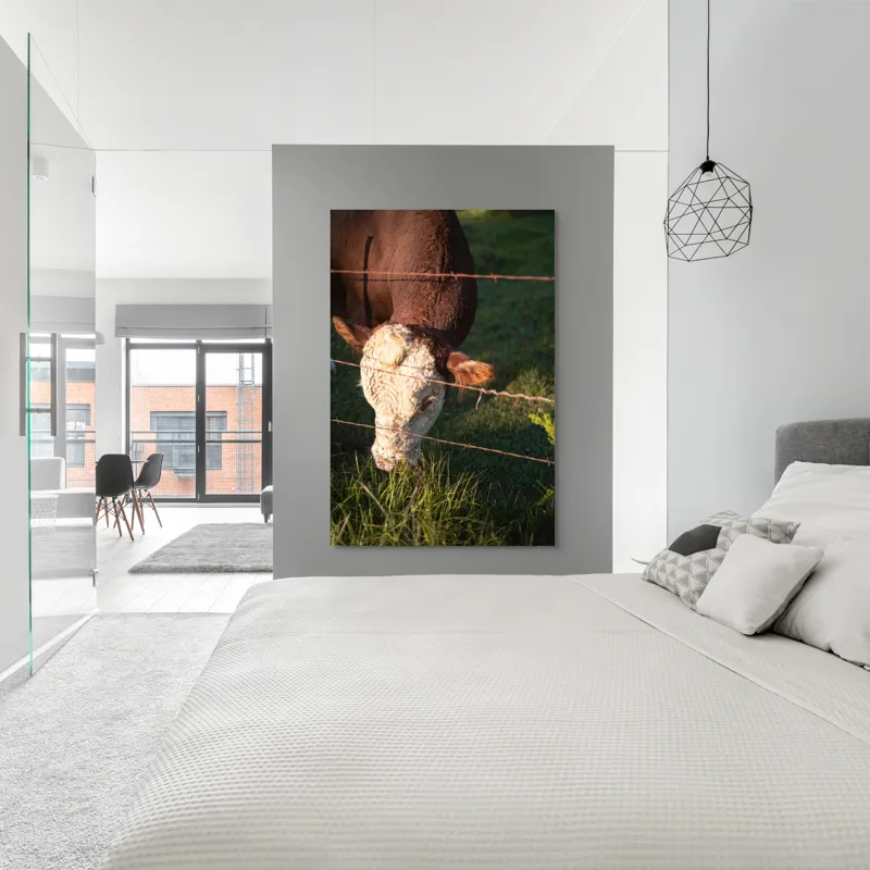 Tablou Canvas, "Vaca pășunând lângă gardul de sârmă", Iarbă, Apus, Vacă, Gard, Sârmă, Verde, Blând, Natural, Teren, Pășune., 100 x 150 cm – poza 5