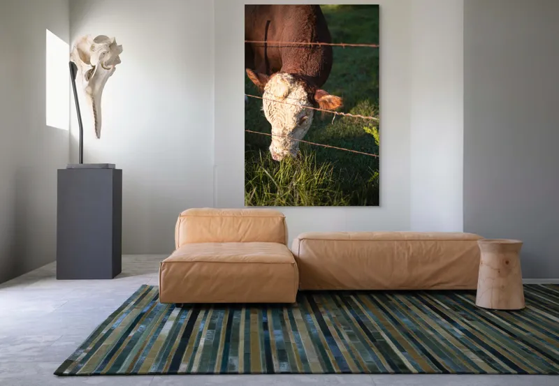 Tablou Canvas, "Vaca pășunând lângă gardul de sârmă", Iarbă, Apus, Vacă, Gard, Sârmă, Verde, Blând, Natural, Teren, Pășune., 100 x 150 cm – poza 7