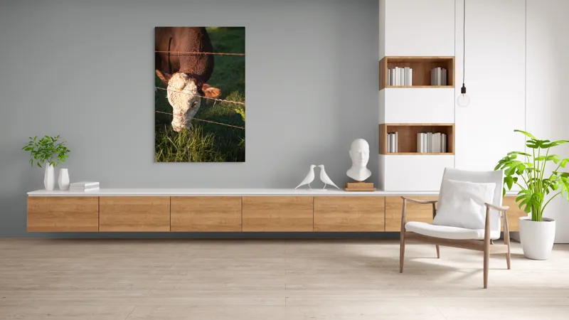 Tablou Canvas, "Vaca pășunând lângă gardul de sârmă", Iarbă, Apus, Vacă, Gard, Sârmă, Verde, Blând, Natural, Teren, Pășune., 100 x 150 cm – poza 8