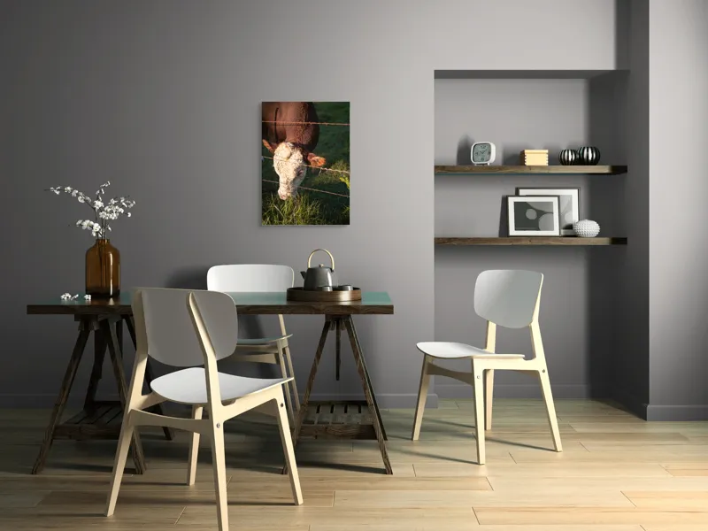 Tablou Canvas, "Vaca pășunând lângă gardul de sârmă", Iarbă, Apus, Vacă, Gard, Sârmă, Verde, Blând, Natural, Teren, Pășune., 50 x 70 cm – poza 5