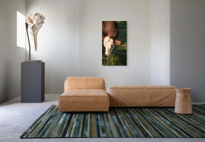 Tablou Canvas, "Vaca pășunând lângă gardul de sârmă", Iarbă, Apus, Vacă, Gard, Sârmă, Verde, Blând, Natural, Teren, Pășune., 50 x 90 cm – poza 5