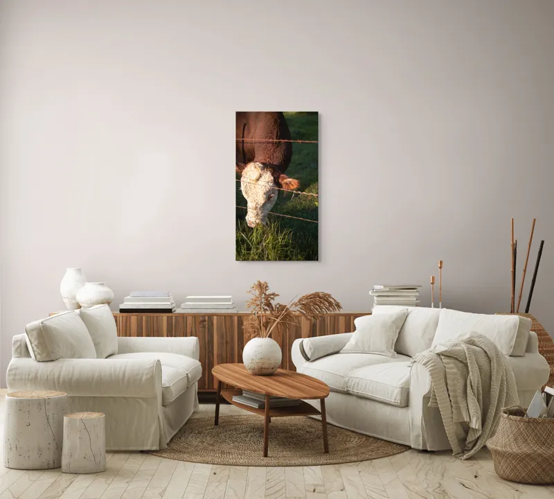 Tablou Canvas, "Vaca pășunând lângă gardul de sârmă", Iarbă, Apus, Vacă, Gard, Sârmă, Verde, Blând, Natural, Teren, Pășune., 50 x 90 cm – poza 7
