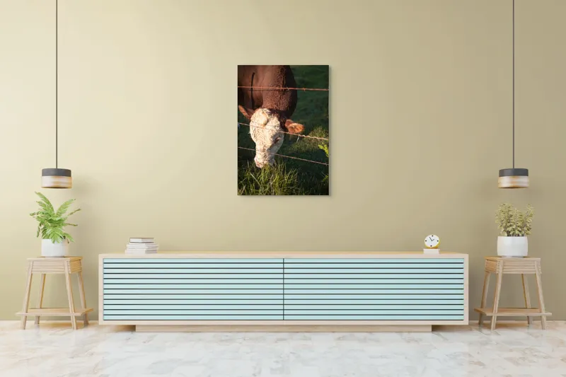 Tablou Canvas, "Vaca pășunând lângă gardul de sârmă", Iarbă, Apus, Vacă, Gard, Sârmă, Verde, Blând, Natural, Teren, Pășune., 70 x 100 cm – poza 5