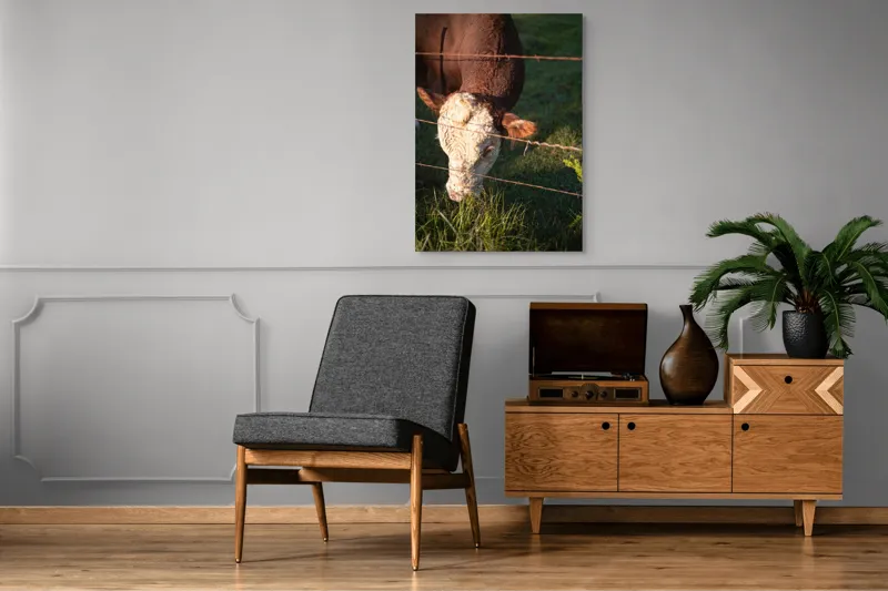 Tablou Canvas, "Vaca pășunând lângă gardul de sârmă", Iarbă, Apus, Vacă, Gard, Sârmă, Verde, Blând, Natural, Teren, Pășune., 70 x 100 cm – poza 6