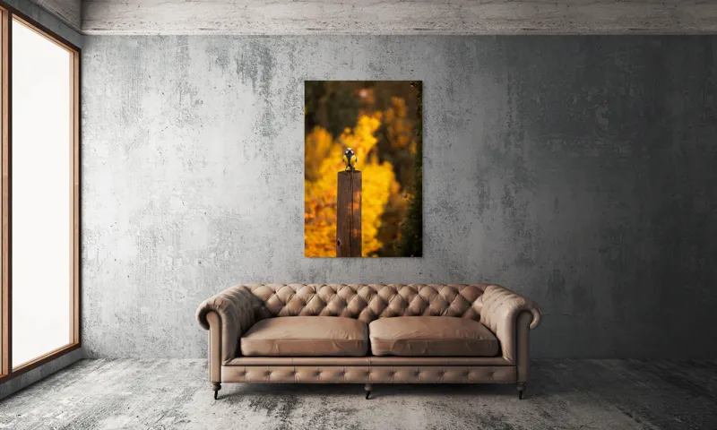 Tablou Canvas, "Pasăre solitară în amurg de toamnă", Pasăre, Culori, Toamnă, Natură, Frumusețe, 100 x 150 cm – poza 6