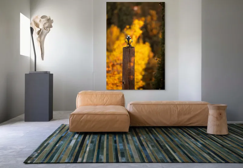 Tablou Canvas, "Pasăre solitară în amurg de toamnă", Pasăre, Culori, Toamnă, Natură, Frumusețe, 100 x 150 cm – poza 7