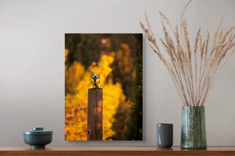 Tablou Canvas, "Pasăre solitară în amurg de toamnă", Pasăre, Culori, Toamnă, Natură, Frumusețe, 39 x 54 cm – poza 3