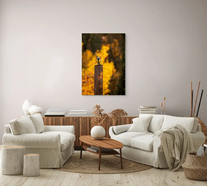 Tablou Canvas, "Pasăre solitară în amurg de toamnă", Pasăre, Culori, Toamnă, Natură, Frumusețe, 70 x 100 cm – poza 4