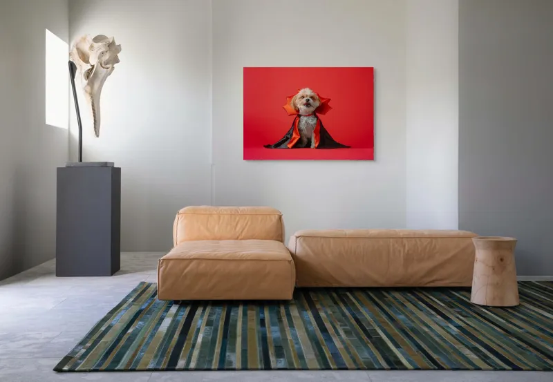 Tablou Canvas, "Câinele vampir în mantie roșie", Câine, Costum, Vampir, Fundal Roșu, Blană Pufoasă, Guler Portocaliu, Zâmbet Drăgălaș, 100 x 70 cm – poza 7