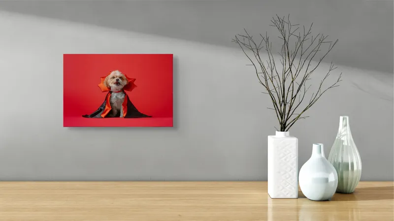 Tablou Canvas, "Câinele vampir în mantie roșie", Câine, Costum, Vampir, Fundal Roșu, Blană Pufoasă, Guler Portocaliu, Zâmbet Drăgălaș, 39 x 26 cm – poza 8