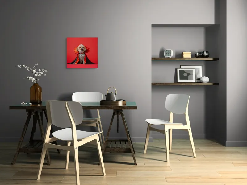 Tablou Canvas, "Câinele vampir în mantie roșie", Câine, Costum, Vampir, Fundal Roșu, Blană Pufoasă, Guler Portocaliu, Zâmbet Drăgălaș, 50 x 50 cm – poza 8