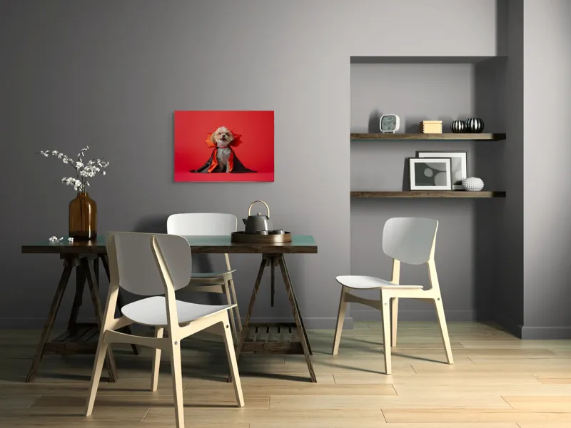 Tablou Canvas, "Câinele vampir în mantie roșie", Câine, Costum, Vampir, Fundal Roșu, Blană Pufoasă, Guler Portocaliu, Zâmbet Drăgălaș, 70 x 50 cm – poza 5