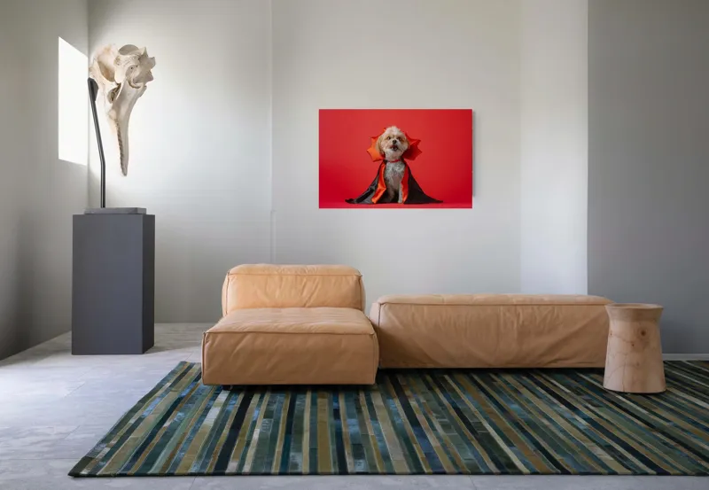 Tablou Canvas, "Câinele vampir în mantie roșie", Câine, Costum, Vampir, Fundal Roșu, Blană Pufoasă, Guler Portocaliu, Zâmbet Drăgălaș, 90 x 50 cm – poza 8