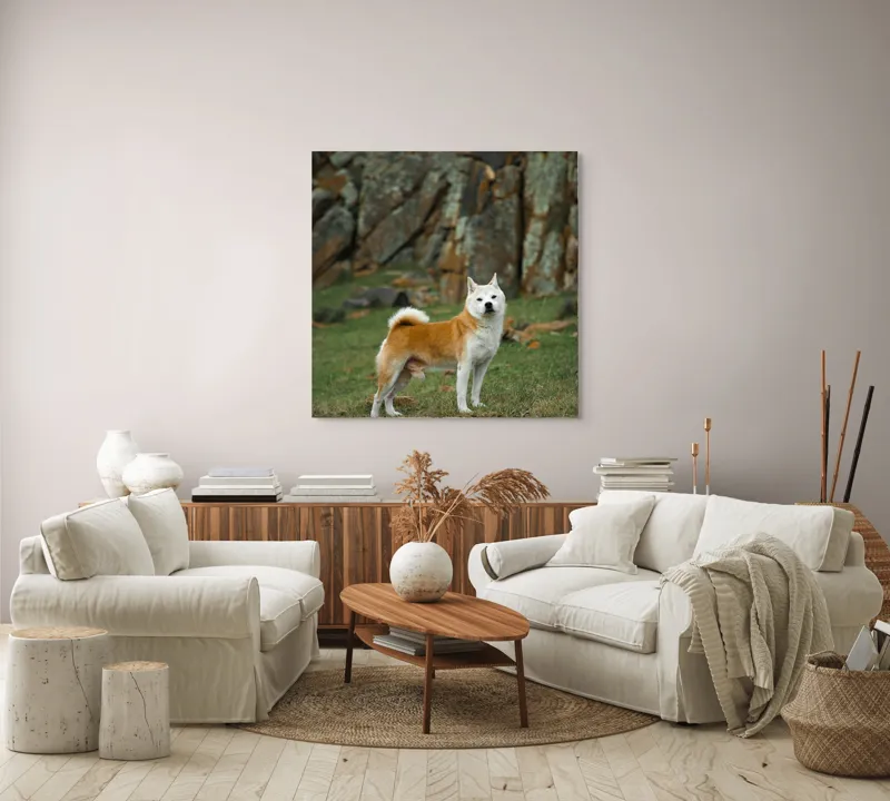 Tablou Canvas, "Câine în peisaj stâncos și verde", 100 x 100 cm – poza 3