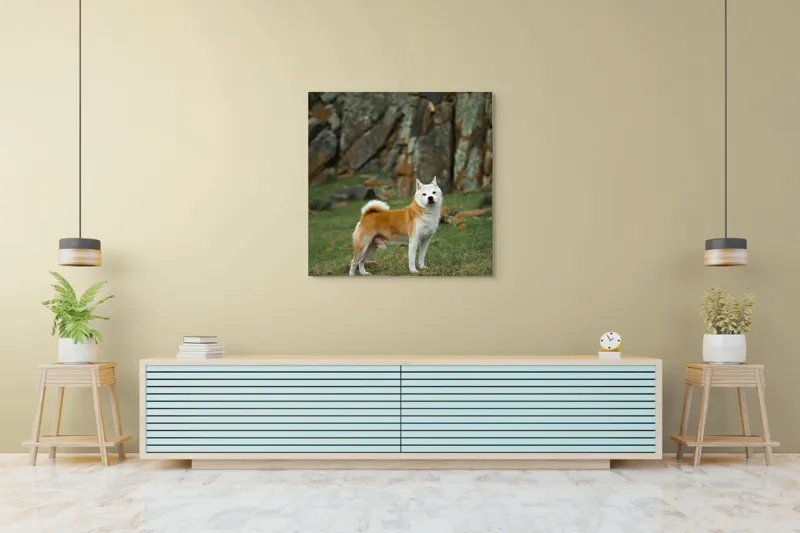 Tablou Canvas, "Câine în peisaj stâncos și verde", 100 x 100 cm – poza 5