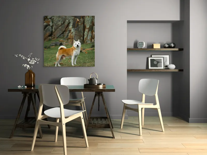 Tablou Canvas, "Câine în peisaj stâncos și verde", 100 x 100 cm – poza 6