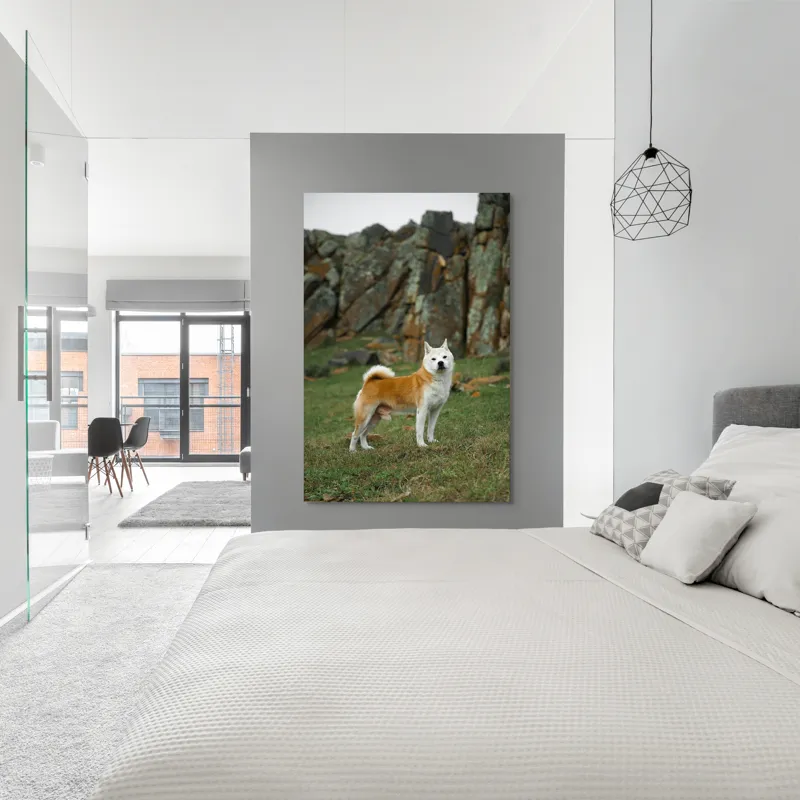 Tablou Canvas, "Câine în peisaj stâncos și verde", Nu pot spune cine este în imagine, dar pot să spun că este un câine într-un peisaj stâncos., 100 x 150 cm – poza 5