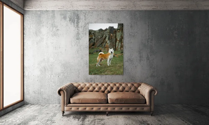 Tablou Canvas, "Câine în peisaj stâncos și verde", Nu pot spune cine este în imagine, dar pot să spun că este un câine într-un peisaj stâncos., 100 x 150 cm – poza 6