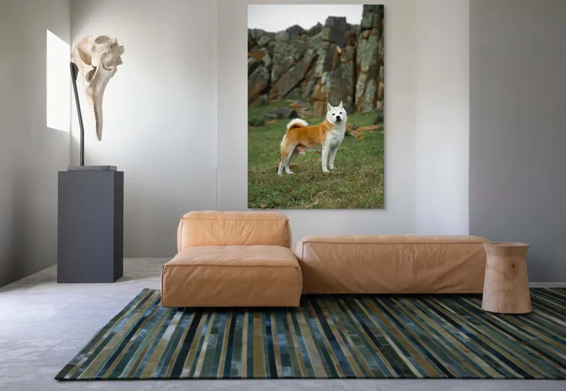 Tablou Canvas, "Câine în peisaj stâncos și verde", Nu pot spune cine este în imagine, dar pot să spun că este un câine într-un peisaj stâncos., 100 x 150 cm – poza 7