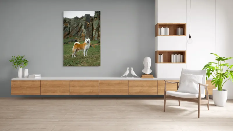 Tablou Canvas, "Câine în peisaj stâncos și verde", Nu pot spune cine este în imagine, dar pot să spun că este un câine într-un peisaj stâncos., 100 x 150 cm – poza 8