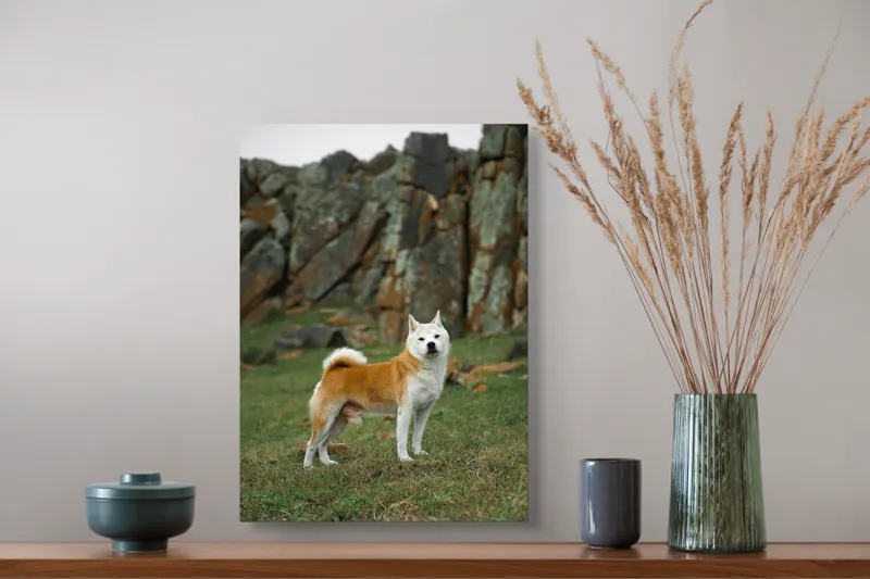 Tablou Canvas, "Câine în peisaj stâncos și verde", Nu pot spune cine este în imagine, dar pot să spun că este un câine într-un peisaj stâncos., 39 x 54 cm – poza 3