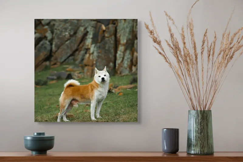 Tablou Canvas, "Câine în peisaj stâncos și verde", Nu pot spune cine este în imagine, dar pot să spun că este un câine într-un peisaj stâncos., 50 x 50 cm – poza 4