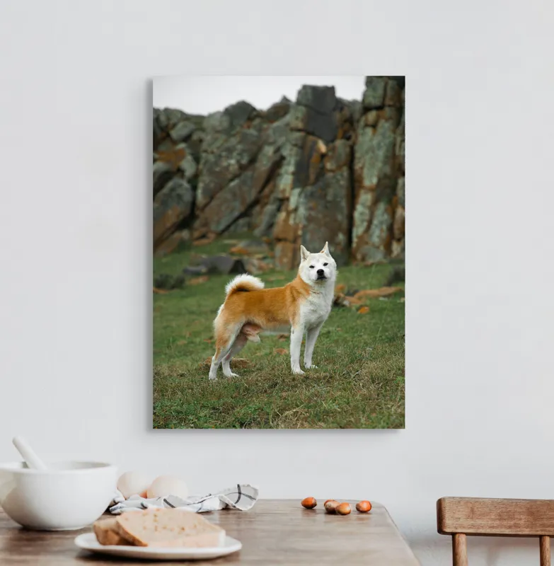 Tablou Canvas, "Câine în peisaj stâncos și verde", Nu pot spune cine este în imagine, dar pot să spun că este un câine într-un peisaj stâncos., 50 x 70 cm – poza 3