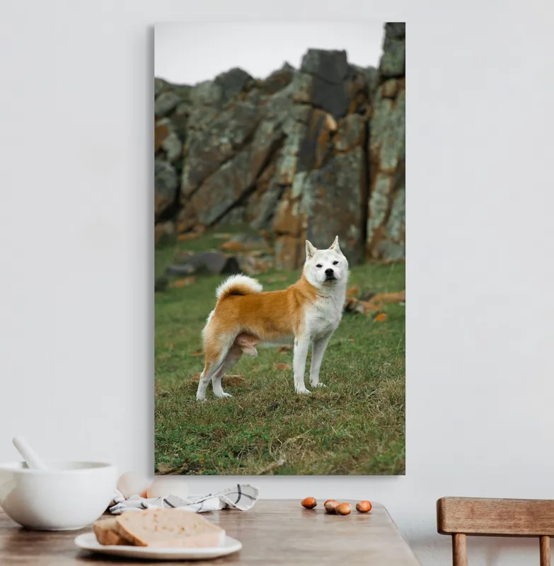 Tablou Canvas, "Câine în peisaj stâncos și verde", Nu pot spune cine este în imagine, dar pot să spun că este un câine într-un peisaj stâncos., 50 x 90 cm – poza 3