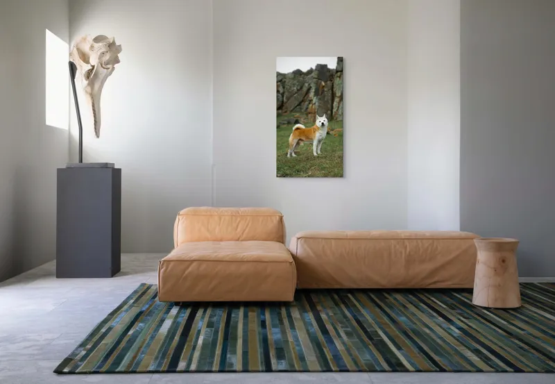 Tablou Canvas, "Câine în peisaj stâncos și verde", Nu pot spune cine este în imagine, dar pot să spun că este un câine într-un peisaj stâncos., 50 x 90 cm – poza 5
