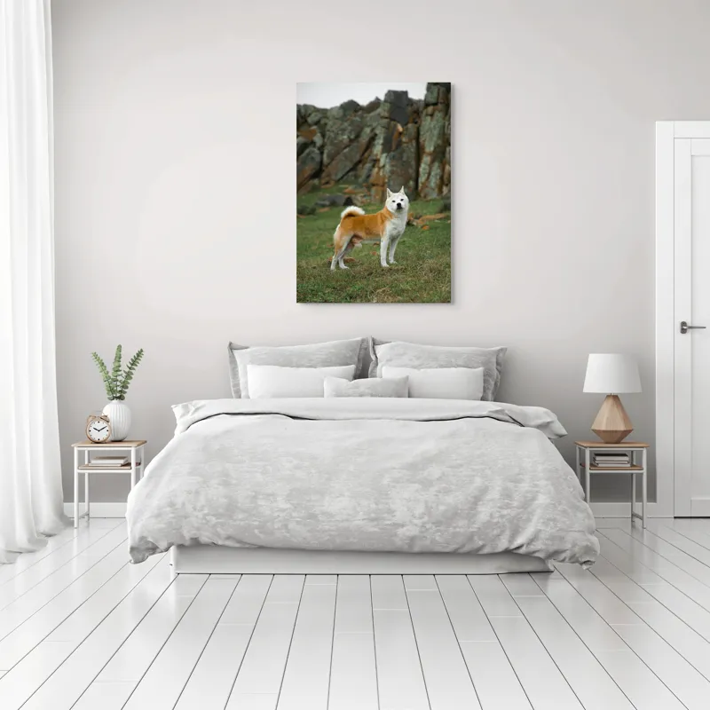 Tablou Canvas, "Câine în peisaj stâncos și verde", Nu pot spune cine este în imagine, dar pot să spun că este un câine într-un peisaj stâncos., 70 x 100 cm – poza 3