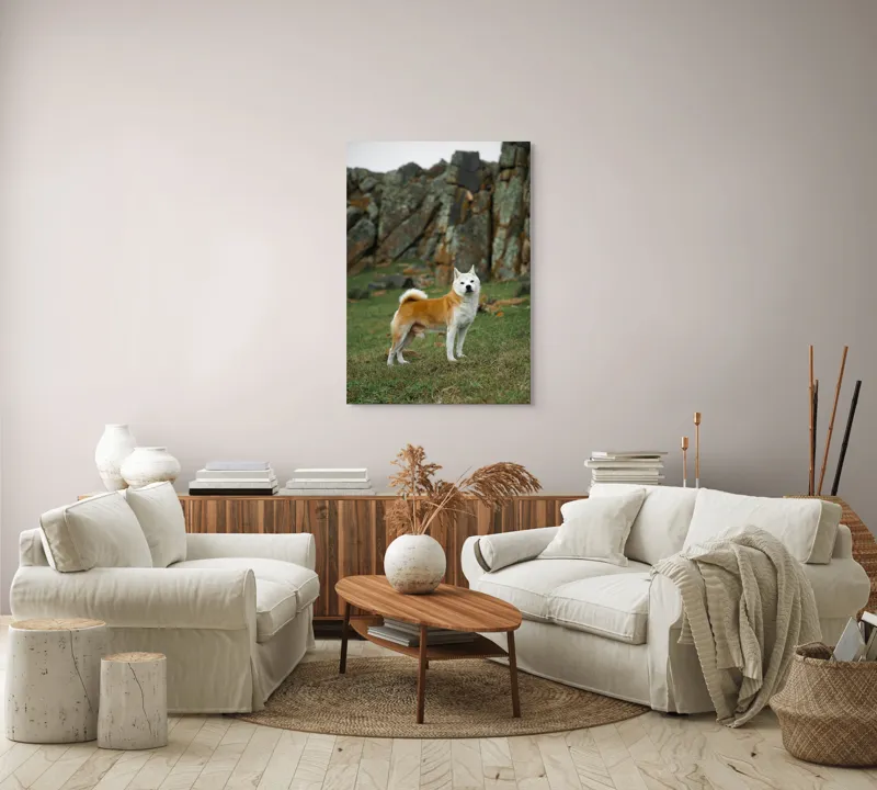 Tablou Canvas, "Câine în peisaj stâncos și verde", Nu pot spune cine este în imagine, dar pot să spun că este un câine într-un peisaj stâncos., 70 x 100 cm – poza 4