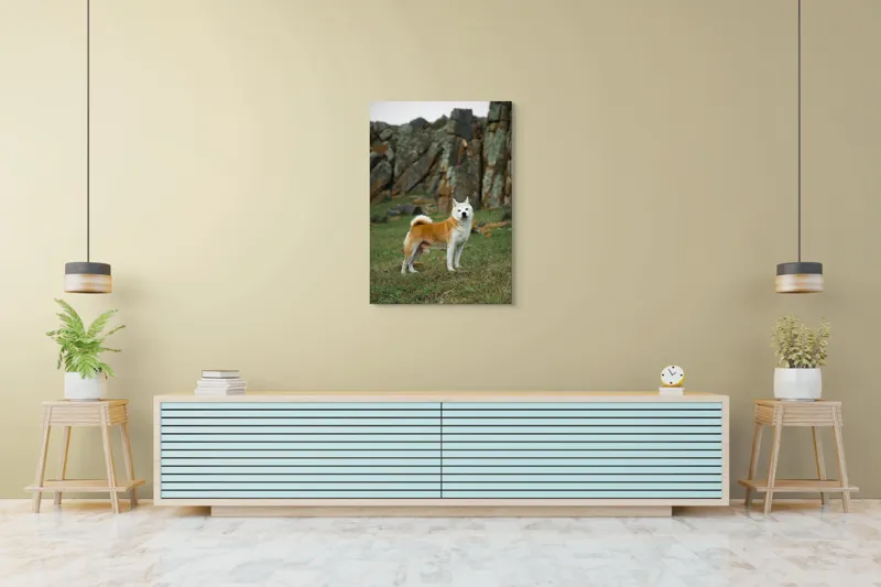 Tablou Canvas, "Câine în peisaj stâncos și verde", Nu pot spune cine este în imagine, dar pot să spun că este un câine într-un peisaj stâncos., 70 x 100 cm – poza 5