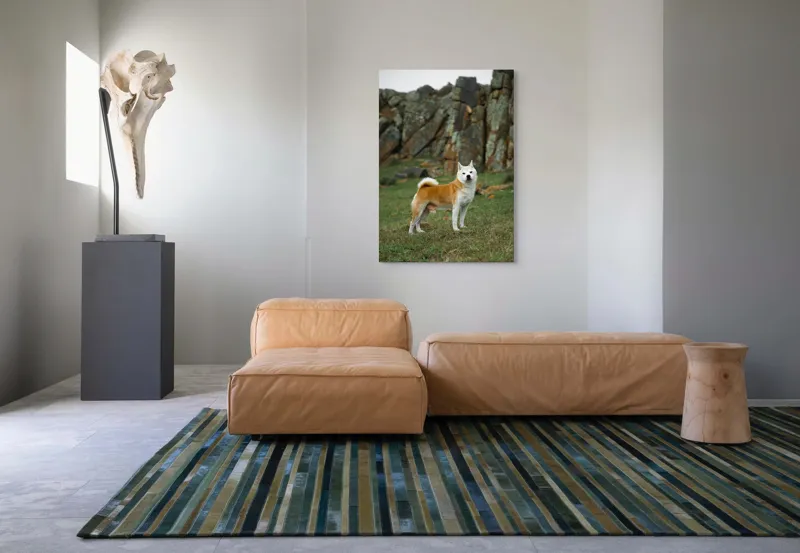 Tablou Canvas, "Câine în peisaj stâncos și verde", Nu pot spune cine este în imagine, dar pot să spun că este un câine într-un peisaj stâncos., 70 x 100 cm – poza 7