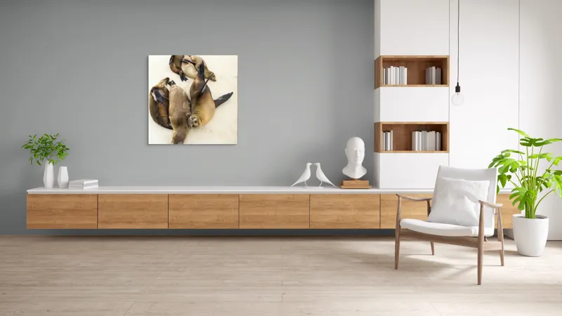 Tablou Canvas, "Leii de mare la odihnă liniștită", Leii, De, Mare, Odihnă, Nisip, Plajă, Relaxare, Soare, Somn, Natură, 100 x 100 cm – poza 8