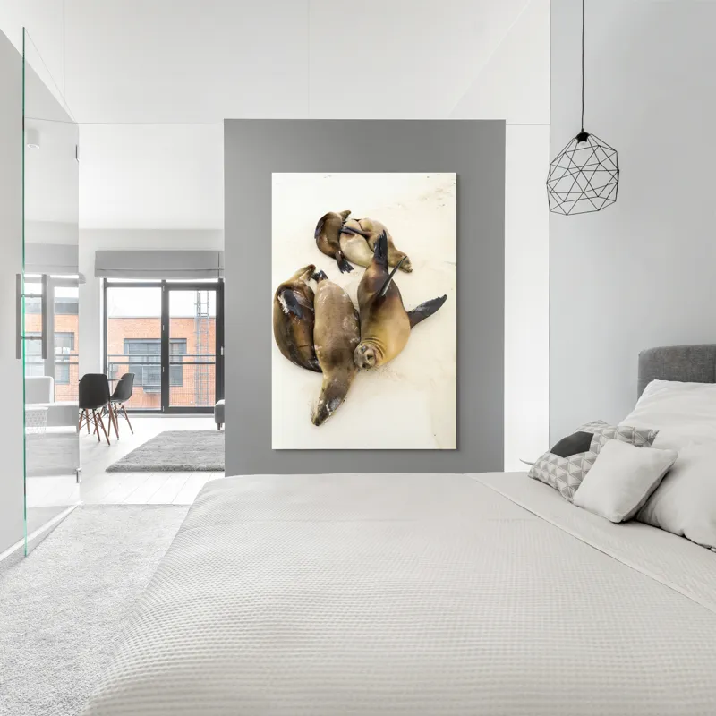 Tablou Canvas, "Leii de mare la odihnă liniștită", Leii, De, Mare, Odihnă, Nisip, Plajă, Relaxare, Soare, Somn, Natură, 100 x 150 cm – poza 5