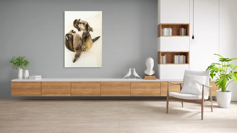 Tablou Canvas, "Leii de mare la odihnă liniștită", Leii, De, Mare, Odihnă, Nisip, Plajă, Relaxare, Soare, Somn, Natură, 100 x 150 cm – poza 8