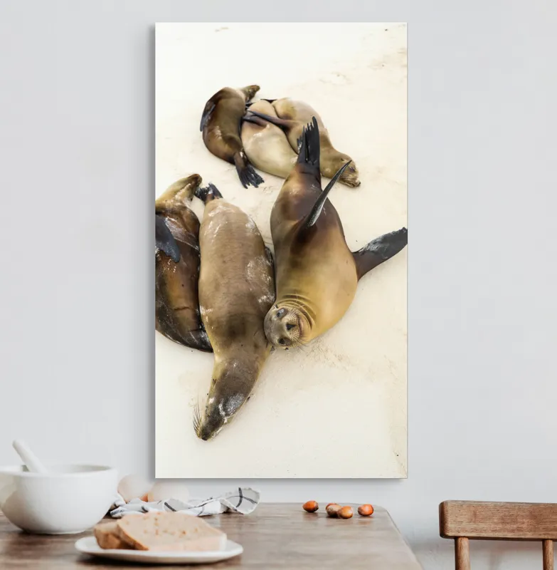 Tablou Canvas, "Leii de mare la odihnă liniștită", Leii, De, Mare, Odihnă, Nisip, Plajă, Relaxare, Soare, Somn, Natură, 50 x 90 cm – poza 3