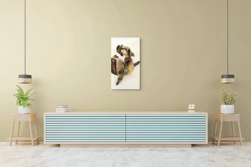 Tablou Canvas, "Leii de mare la odihnă liniștită", Leii, De, Mare, Odihnă, Nisip, Plajă, Relaxare, Soare, Somn, Natură, 50 x 90 cm – poza 6