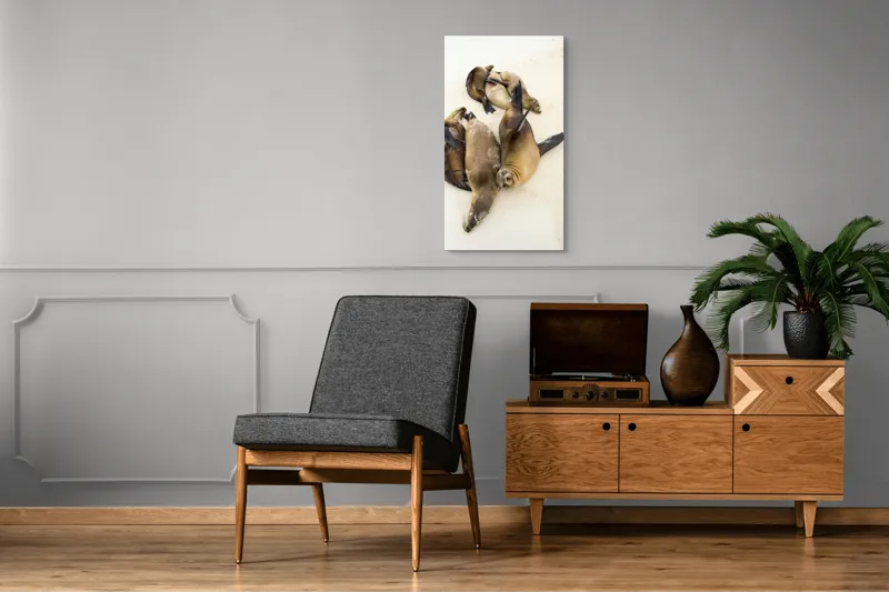 Tablou Canvas, "Leii de mare la odihnă liniștită", Leii, De, Mare, Odihnă, Nisip, Plajă, Relaxare, Soare, Somn, Natură, 50 x 90 cm – poza 8