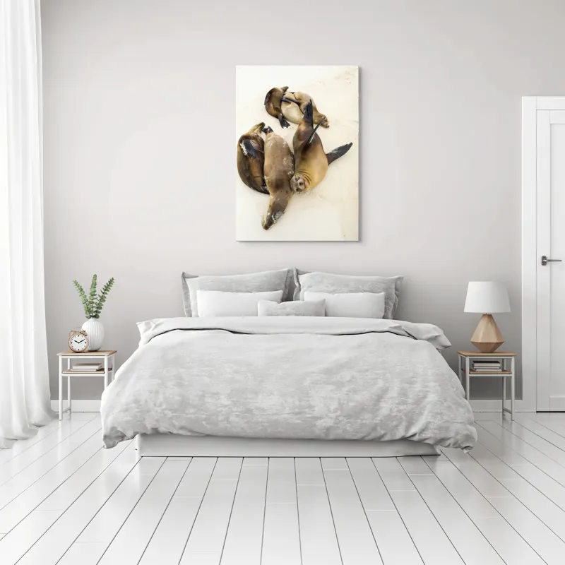 Tablou Canvas, "Leii de mare la odihnă liniștită", Leii, De, Mare, Odihnă, Nisip, Plajă, Relaxare, Soare, Somn, Natură, 70 x 100 cm – poza 3