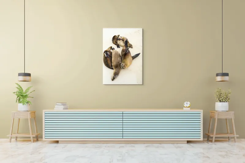 Tablou Canvas, "Leii de mare la odihnă liniștită", Leii, De, Mare, Odihnă, Nisip, Plajă, Relaxare, Soare, Somn, Natură, 70 x 100 cm – poza 5