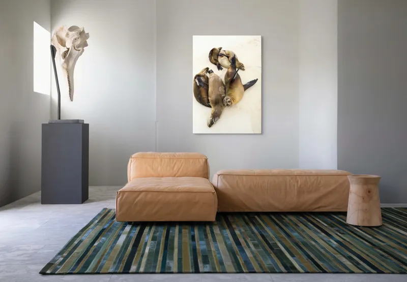 Tablou Canvas, "Leii de mare la odihnă liniștită", Leii, De, Mare, Odihnă, Nisip, Plajă, Relaxare, Soare, Somn, Natură, 70 x 100 cm – poza 7