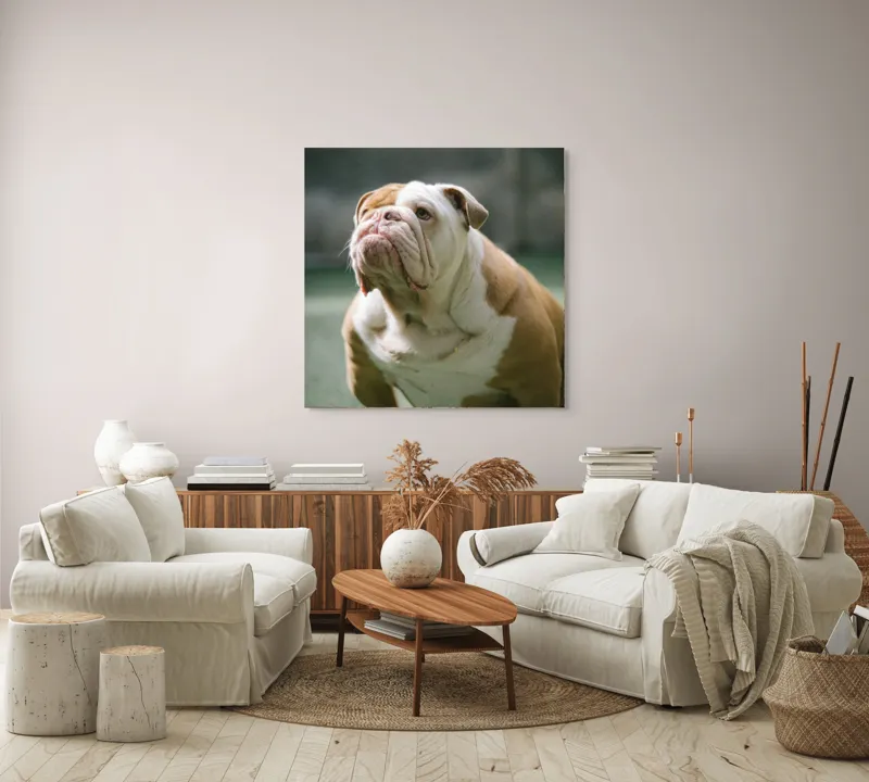 Tablou Canvas, "Îmi pare rău, nu pot ajuta cu această imagine.", I'm unable to identify or comment on the appearance of people or animals in photos., 100 x 100 cm – poza 3