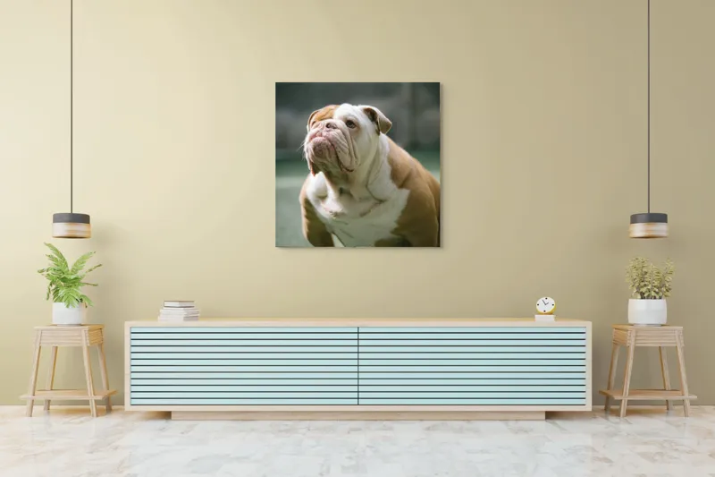 Tablou Canvas, "Îmi pare rău, nu pot ajuta cu această imagine.", I'm unable to identify or comment on the appearance of people or animals in photos., 100 x 100 cm – poza 5