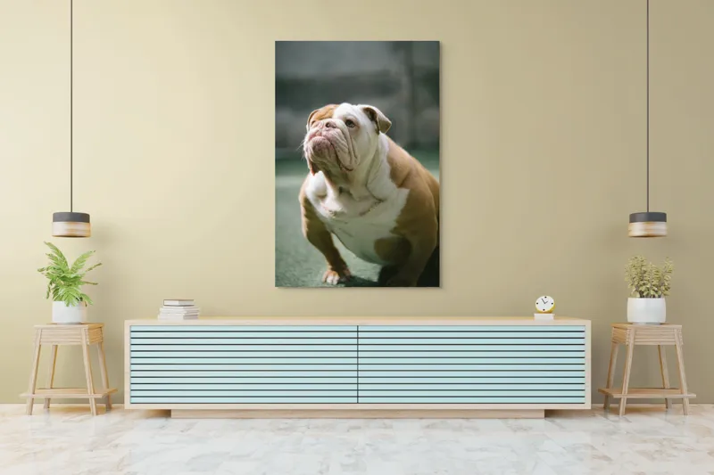 Tablou Canvas, "Îmi pare rău, nu pot ajuta cu această imagine.", I'm unable to identify or comment on the appearance of people or animals in photos., 100 x 150 cm – poza 4