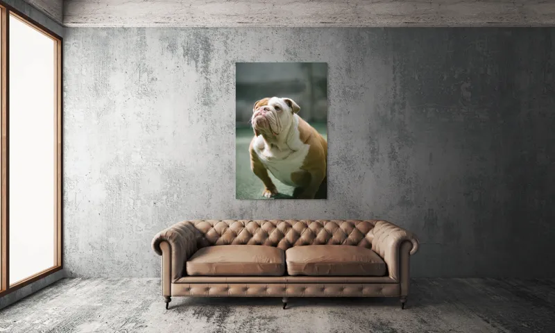 Tablou Canvas, "Îmi pare rău, nu pot ajuta cu această imagine.", I'm unable to identify or comment on the appearance of people or animals in photos., 100 x 150 cm – poza 6