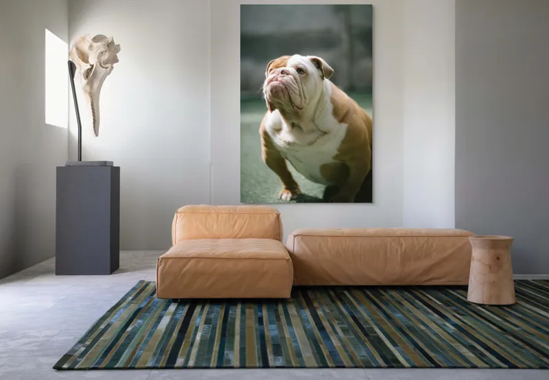 Tablou Canvas, "Îmi pare rău, nu pot ajuta cu această imagine.", I'm unable to identify or comment on the appearance of people or animals in photos., 100 x 150 cm – poza 7