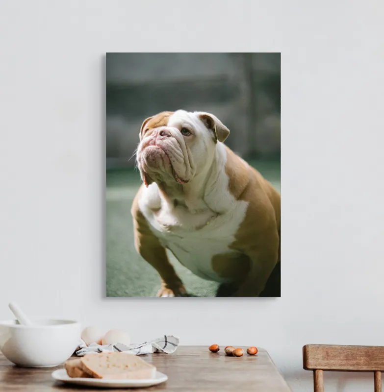 Tablou Canvas, "Îmi pare rău, nu pot ajuta cu această imagine.", I'm unable to identify or comment on the appearance of people or animals in photos., 50 x 70 cm – poza 3